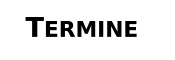 Termine